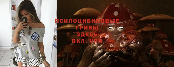 дмт Аркадак